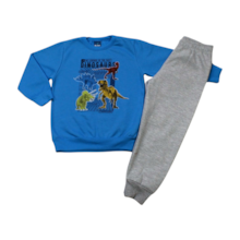 Agasalho Masculino Estampa Dinossauro 62806 - Rei Rex 
