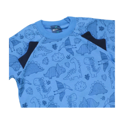 Agasalho Masculino Estampa Dinossauros 62179 - Rei Rex 