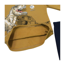 Agasalho Masculino Estampado Dino 56029 - Brandili 