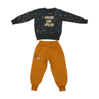 Agasalho Masculino Estampado Dinossauros 28780 - Angerô 