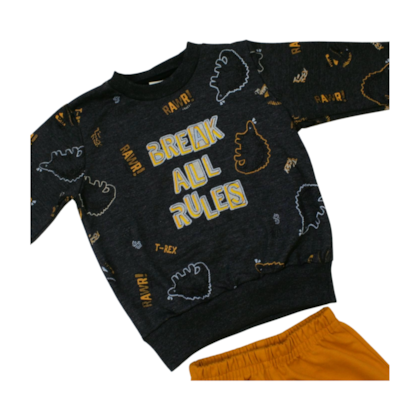 Agasalho Masculino Estampado Dinossauros 28780 - Angerô 