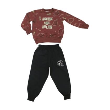 Agasalho Masculino Estampado Dinossauros 28780 - Angerô 