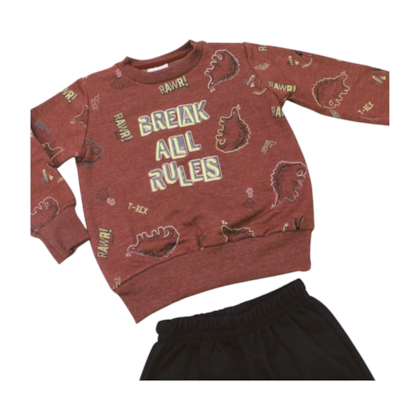 Agasalho Masculino Estampado Dinossauros 28780 - Angerô 