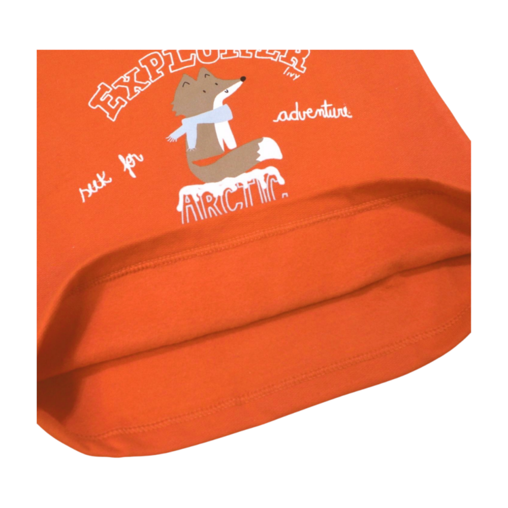 image_a7954e3f-c524-4b1e-9693-b82d0c4fa2fd