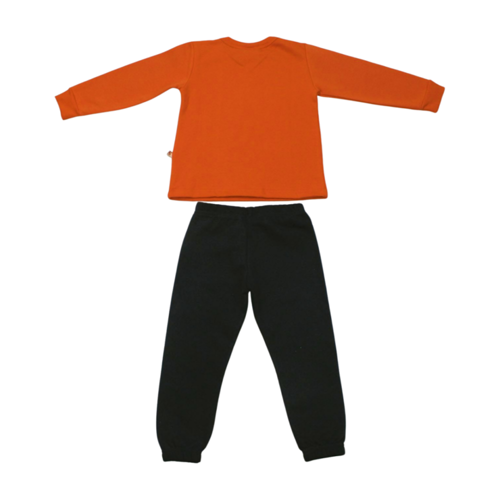 image_e651ba9a-f124-495c-96b2-3550937d1df8