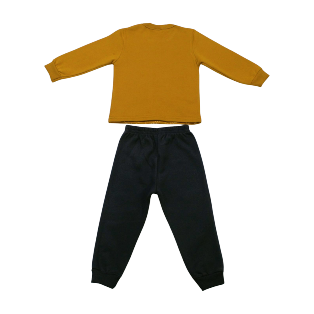 image_a31d6d21-5b69-4e11-a712-9f0b66d21b15