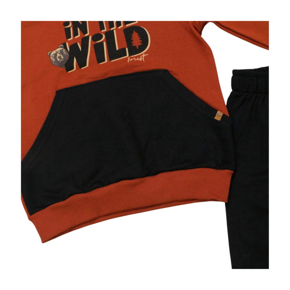 image_ed894c1c-6a2b-4a2a-a1eb-bddb8b808541