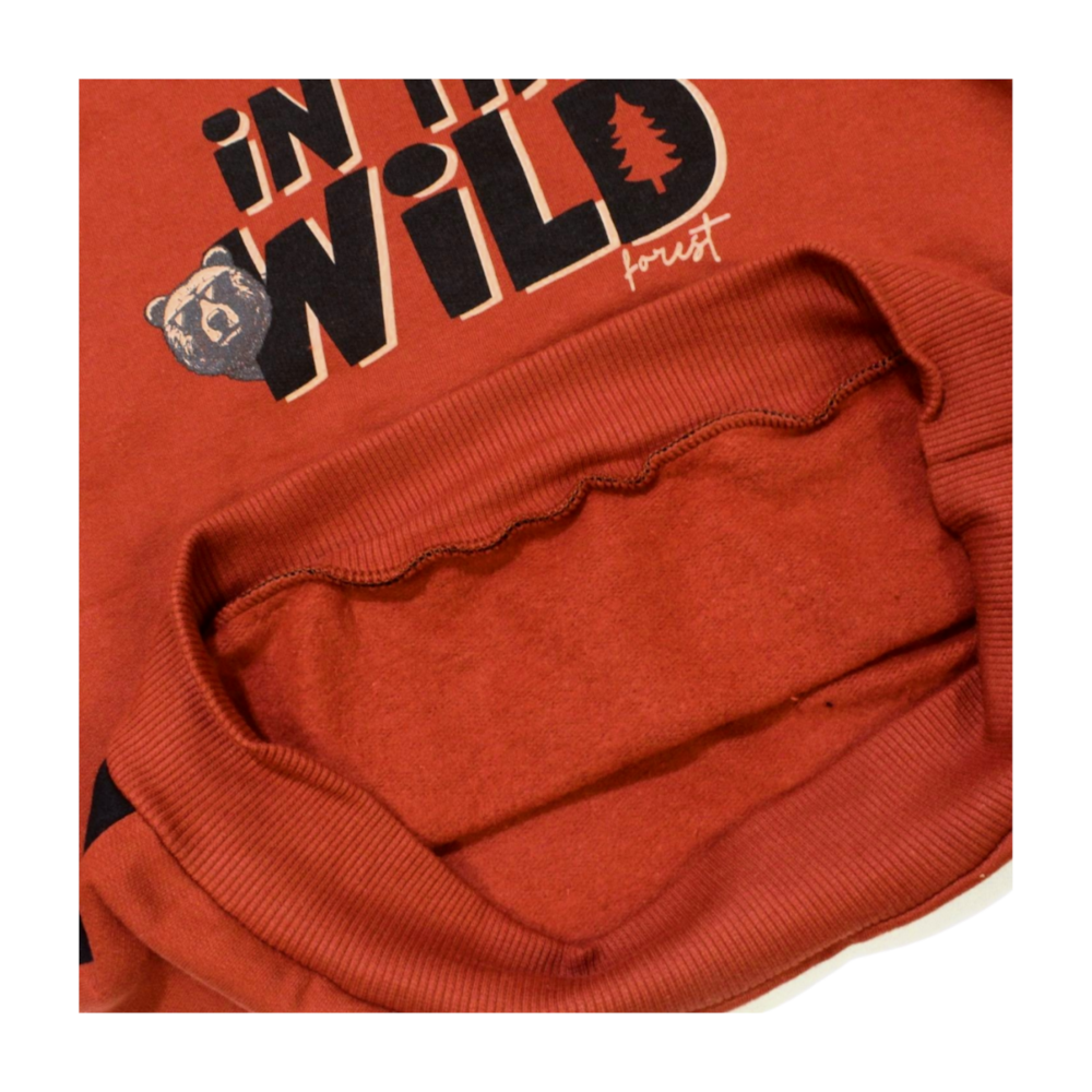 image_54bb03c3-c3fe-4ba3-8b24-71de0be2cd4b