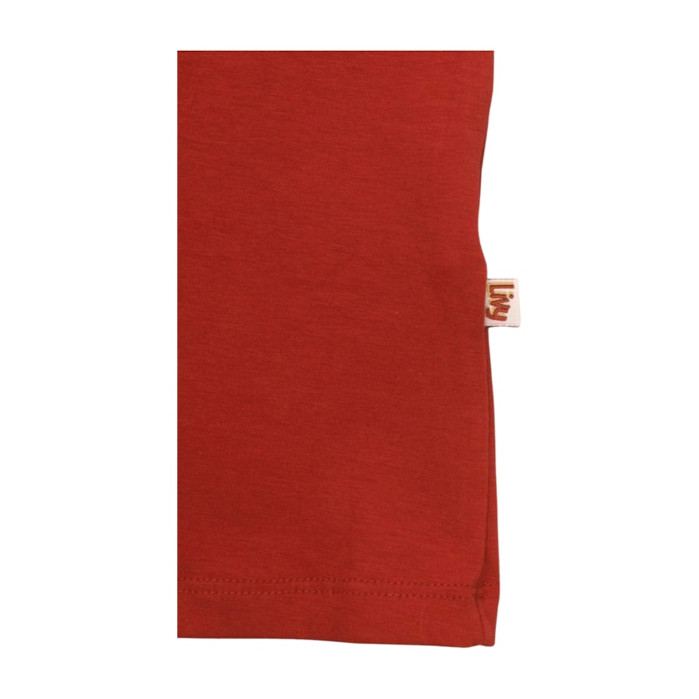 image_49a7e7d3-1f0f-4189-8d3b-8a0e2194d804