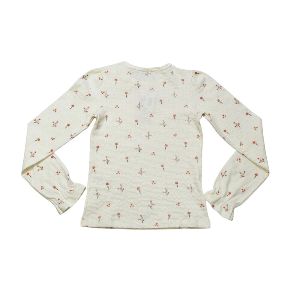 image_f5f0c2bb-7688-4041-9cdc-319d06b18d8a