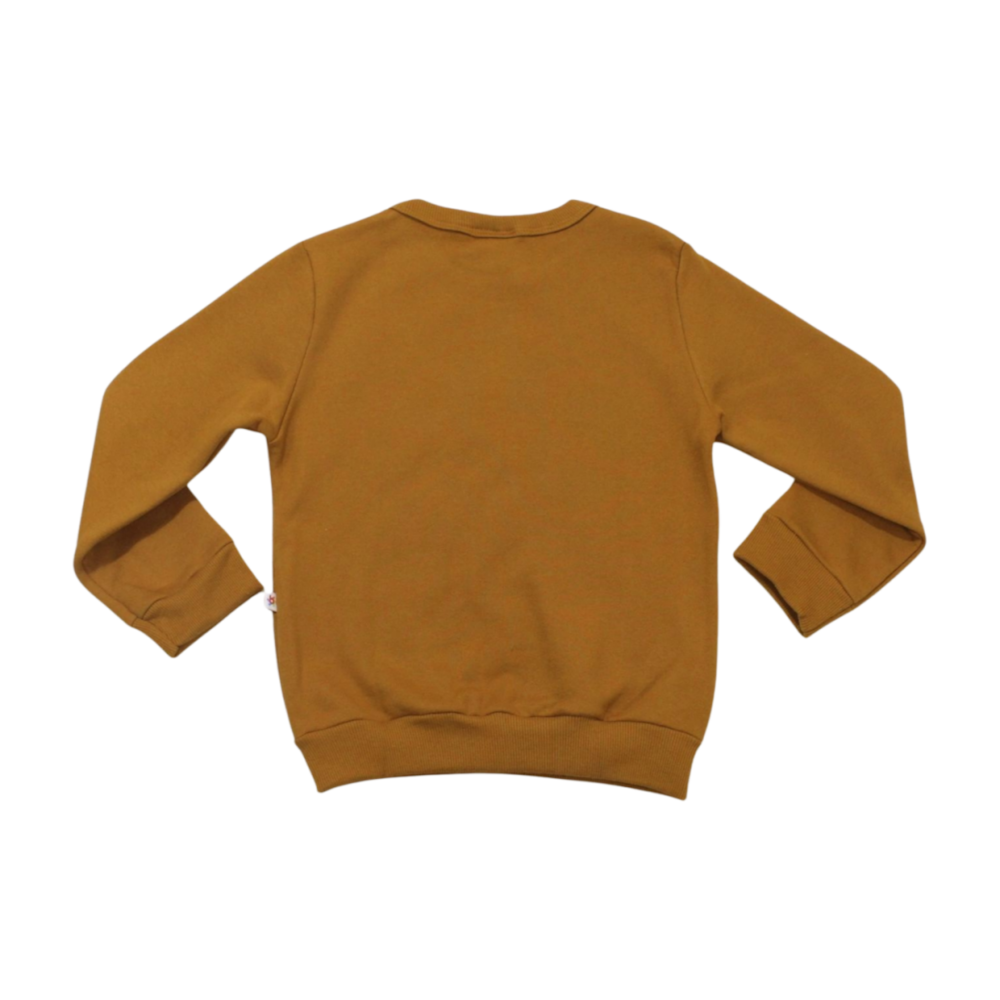 image_715617f2-68d4-4c2f-9212-a801c80ba442