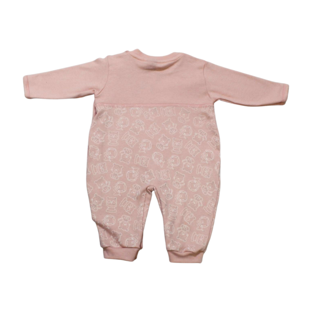 image_e4266c12-9c5b-41d5-a659-3ca6b6886515