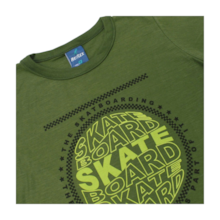 Camiseta Flamê Manga Curta Estampa Skate 47036 - Rei Rex