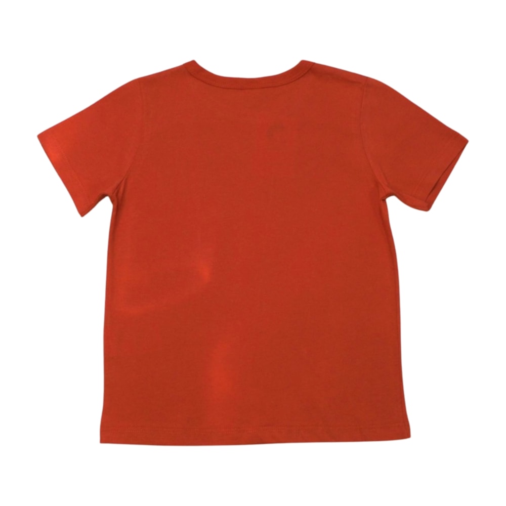 image_ed88dafe-fbda-4be3-8ca4-70937d3b0f6a