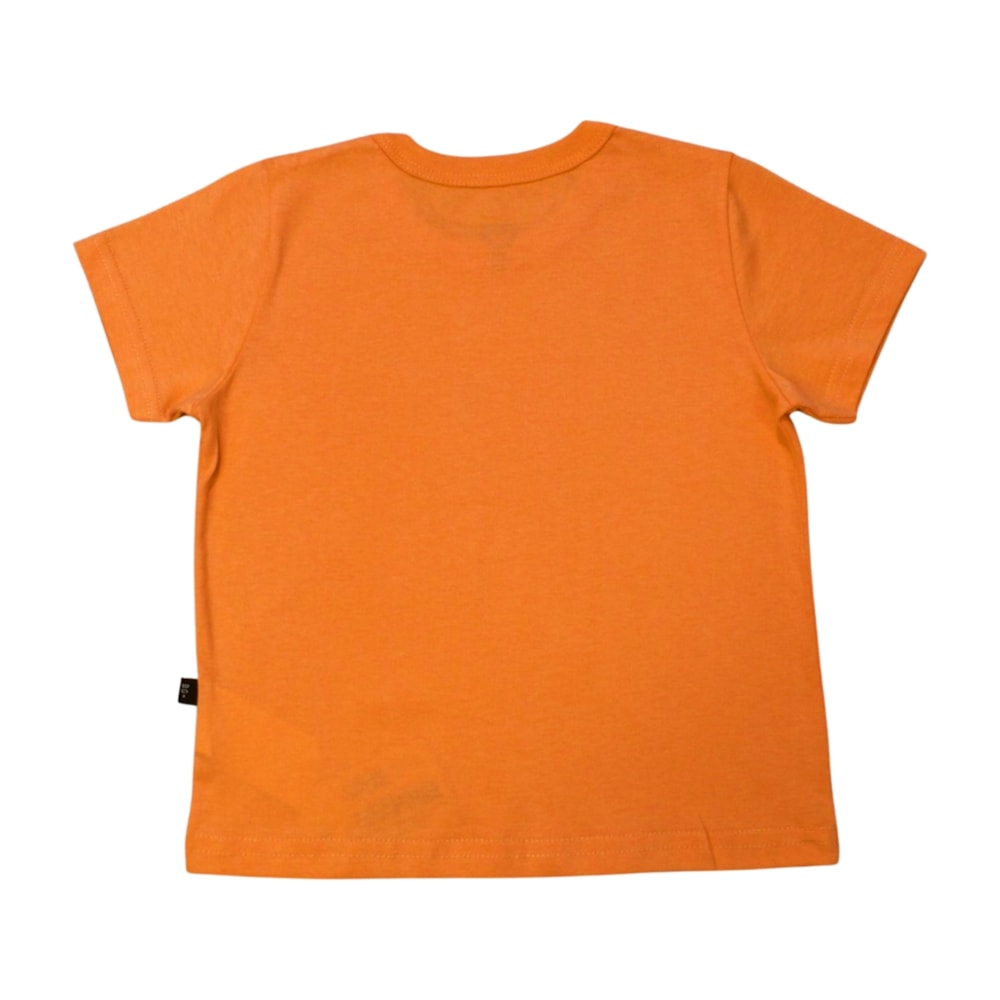 image_7bbad1d6-494d-467c-85c0-c2336c6a0a76