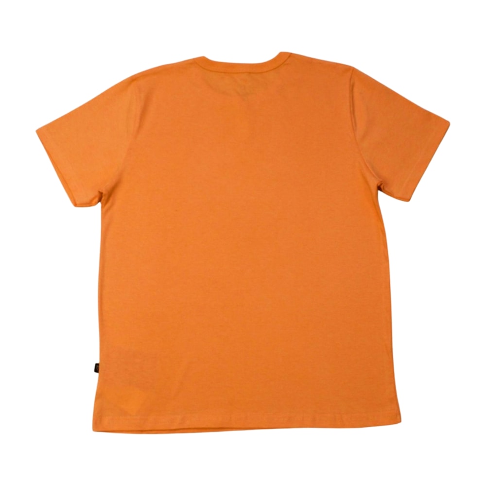 image_01c9b872-a1c4-4f5c-bc6d-5a2ac210a603