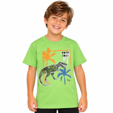 Camiseta Manga Curta Estampa Dino 96 - Cleomara