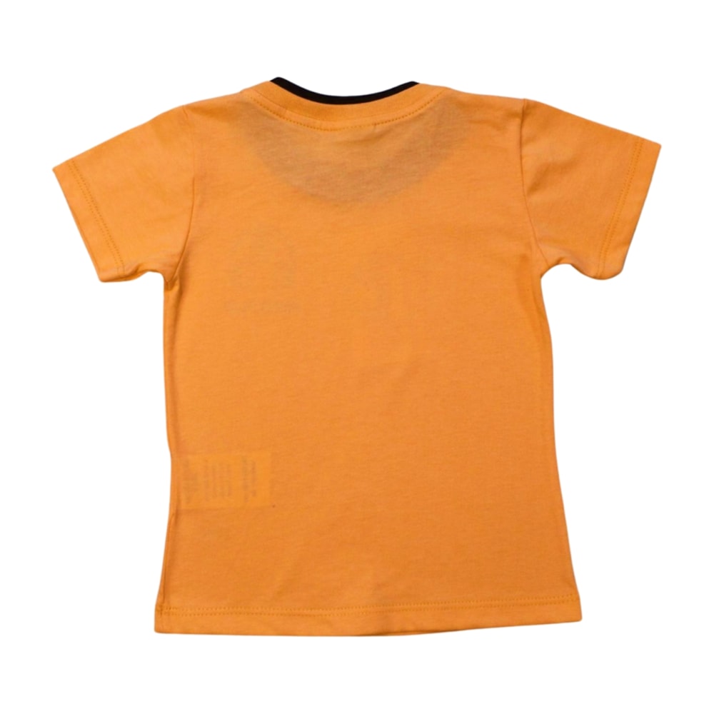 image_81f89752-680d-4b2d-a317-e4a392edb73d