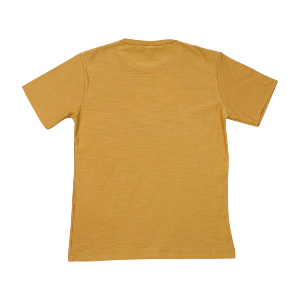 image_e1295744-6d62-4254-92a8-cf7d05324404