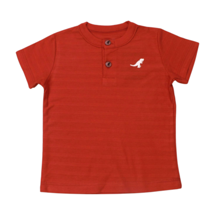 Camiseta Manga Curta Trabalhada com Botões 45483 - Rei Rex 