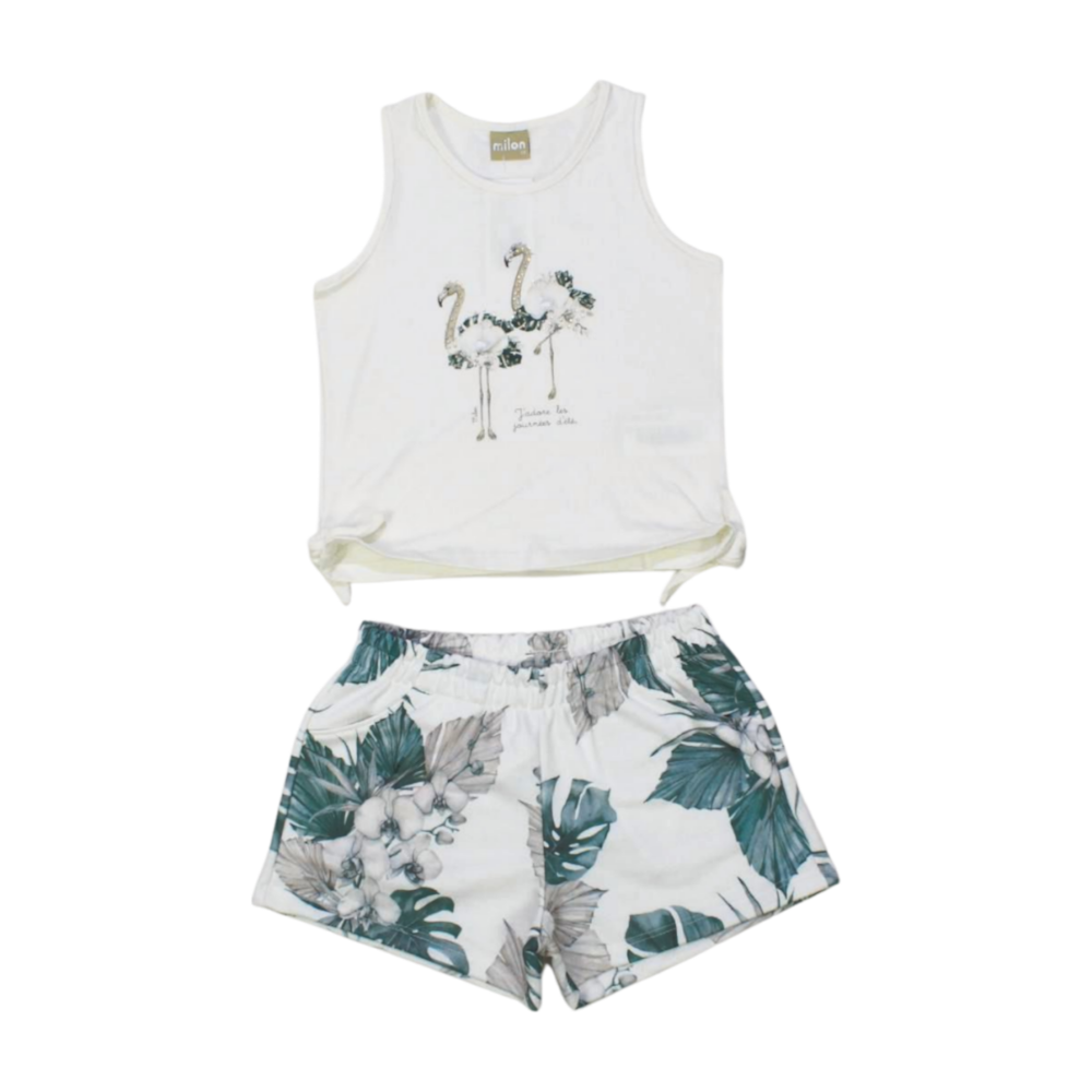 image_ff33708c-a971-486e-9080-121bb4e24eec