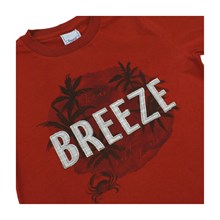 Conjunto Camiseta e Bermuda Moletinho Breeze 28549 - Angerô