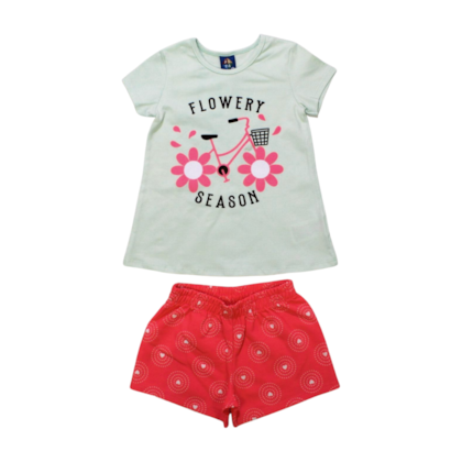 Conjunto Feminino Blusa e Shorts Sortido 9000708 - Pipa 