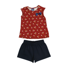 Conjunto Feminino Blusa e Shorts Sortido 9000808 - Pipa