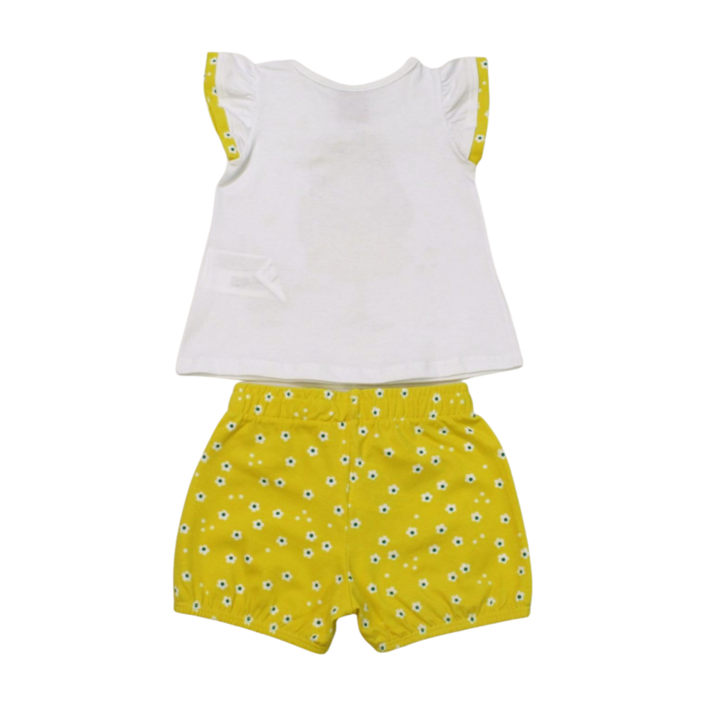 image_95cdbedf-9ad1-4214-8da1-a7e90431c703