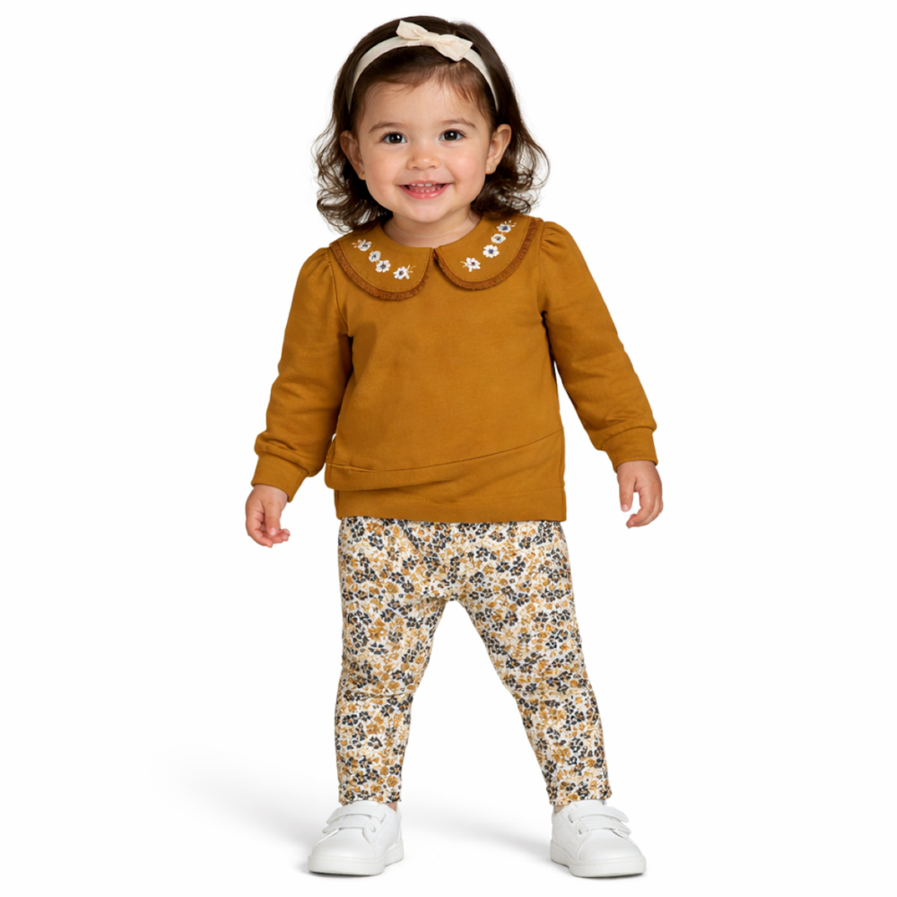 image_12cb6d40-1dc7-4d70-8a6d-037268650474