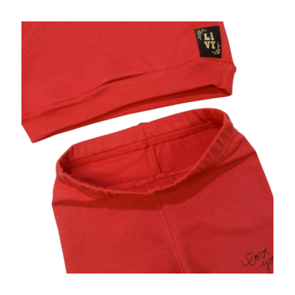 Conjunto Longo Feminino Blusão Love e Legging 9013 - Livy 