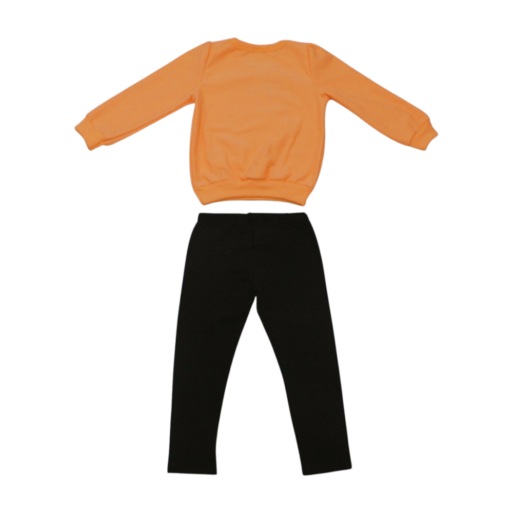 image_ba006bf0-f798-424a-9ded-0c1110bdef7c