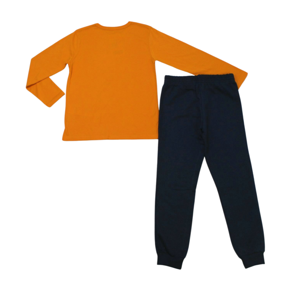 image_816c3142-4f77-46b5-afe0-99f1d98ab499