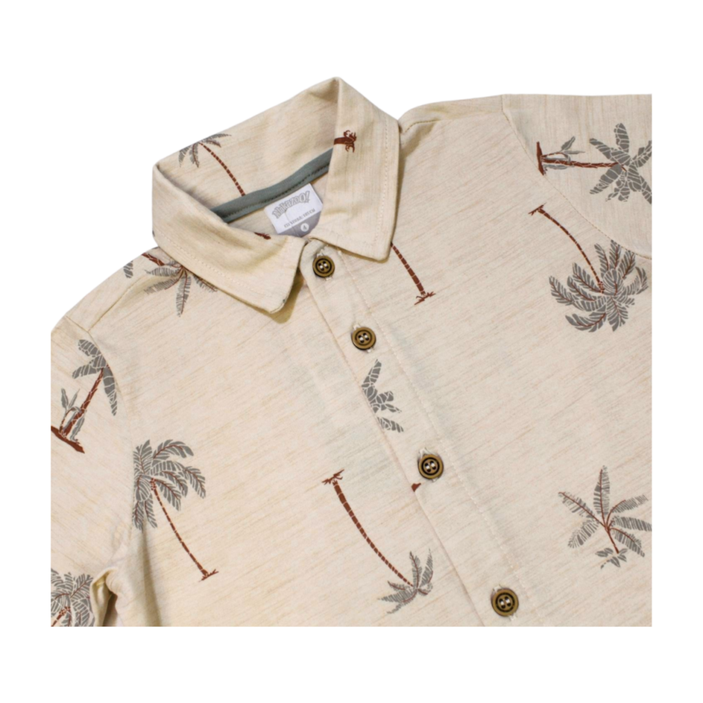 image_087c5bc4-00fd-4668-ba0a-7a4d8147587d