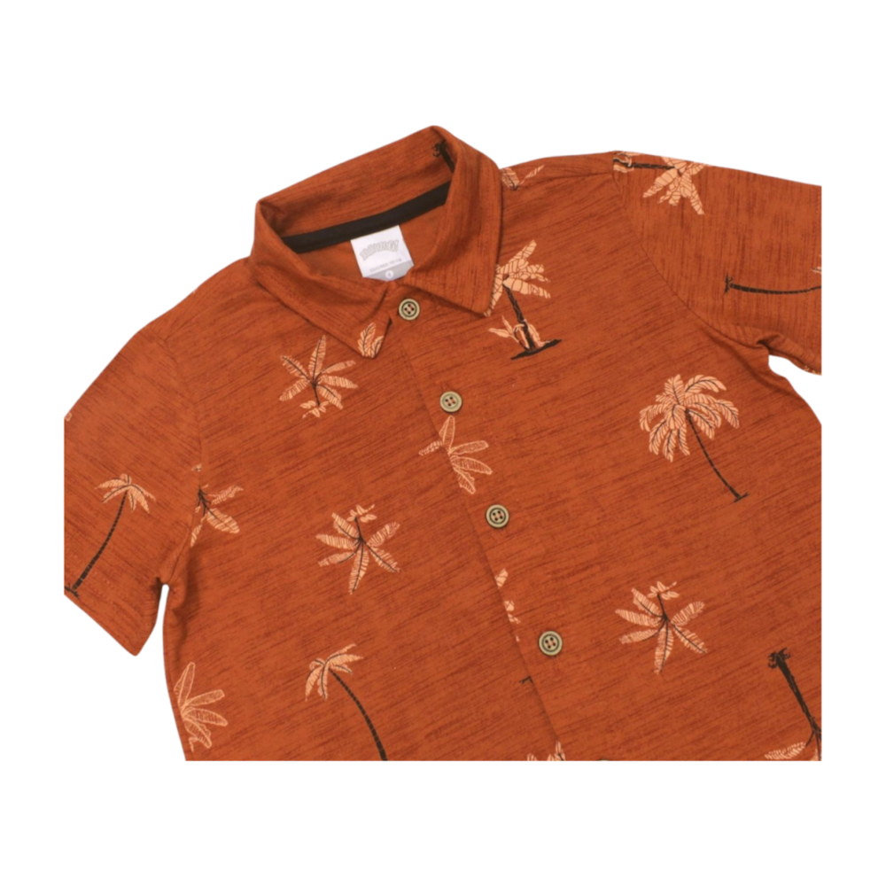 image_b6b10645-a140-44a3-b9a5-fdddb2231720