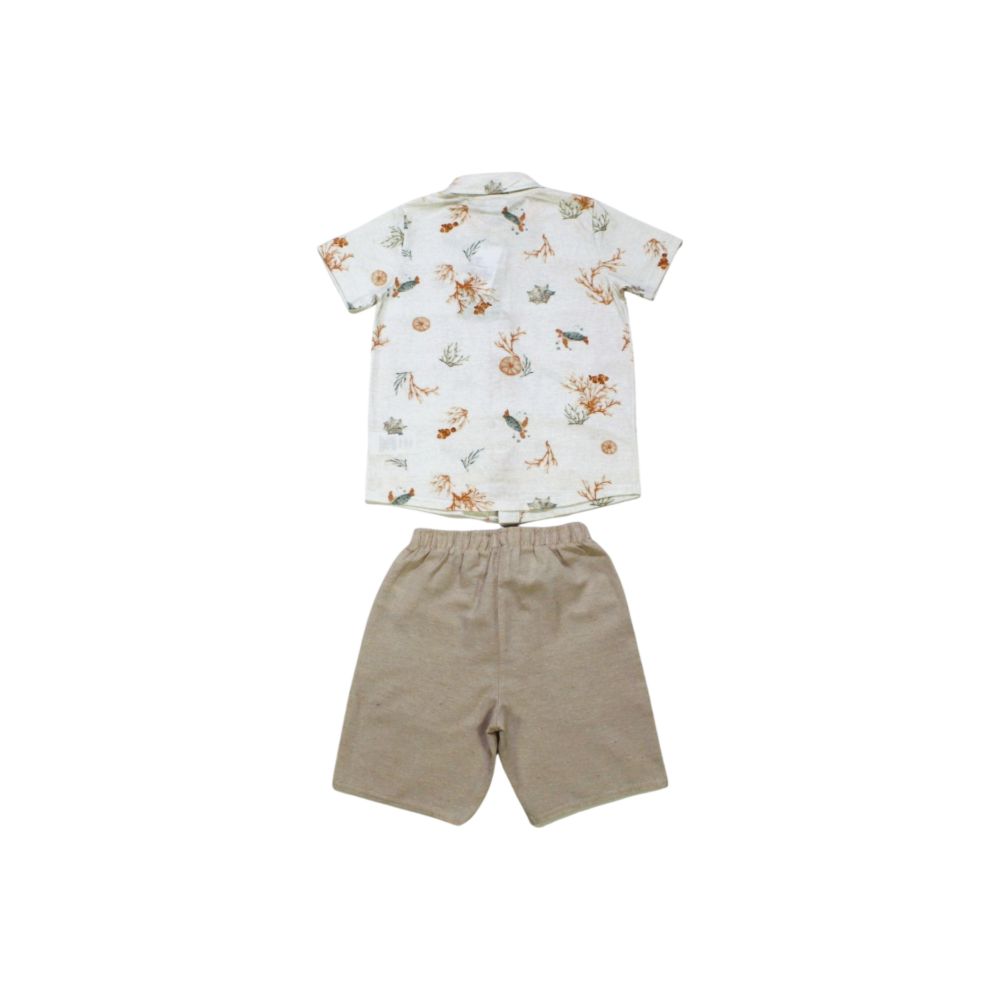 image_5ad3255d-c2b3-4e0f-b69d-3724f362ead8