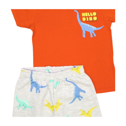 Conjunto Masculino Camiseta e Bermuda Moletinho Estampada Dinossauros 8948 - Livy 