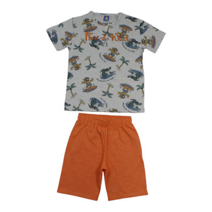 Conjunto Masculino Camiseta e Bermuda Moletinho Sortido 9002898 - Pipa