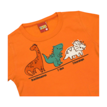 Conjunto Masculino Camiseta e Bermuda Tactel Estampada Dinos 1001064 - Kyly 