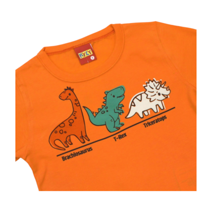 Conjunto Masculino Camiseta e Bermuda Tactel Estampada Dinos 1001064 - Kyly 