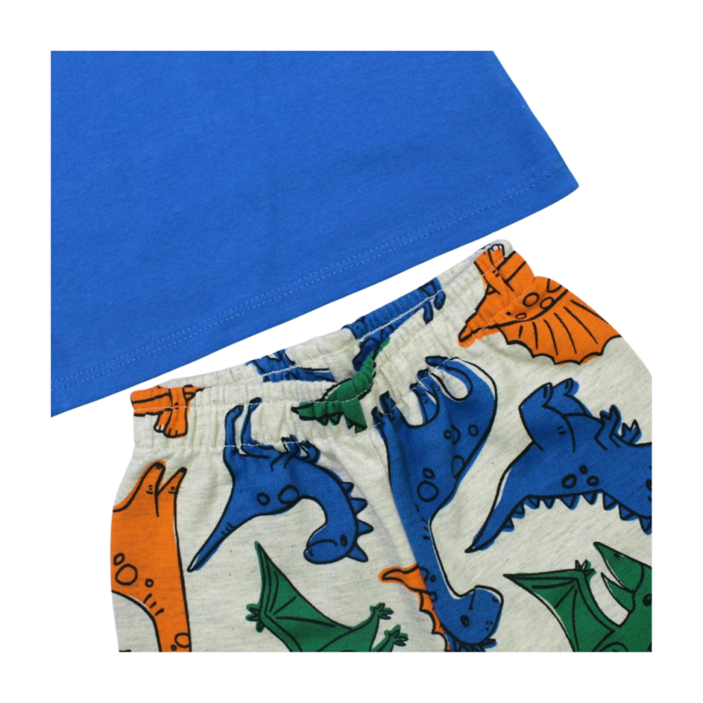 image_ee2785e6-7d4e-45d2-b4a4-425e75f1820d