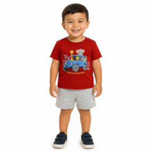 Conjunto Masculino Camiseta Estampa Bichos e Bermuda Moletinho 47159 - Rei Rex