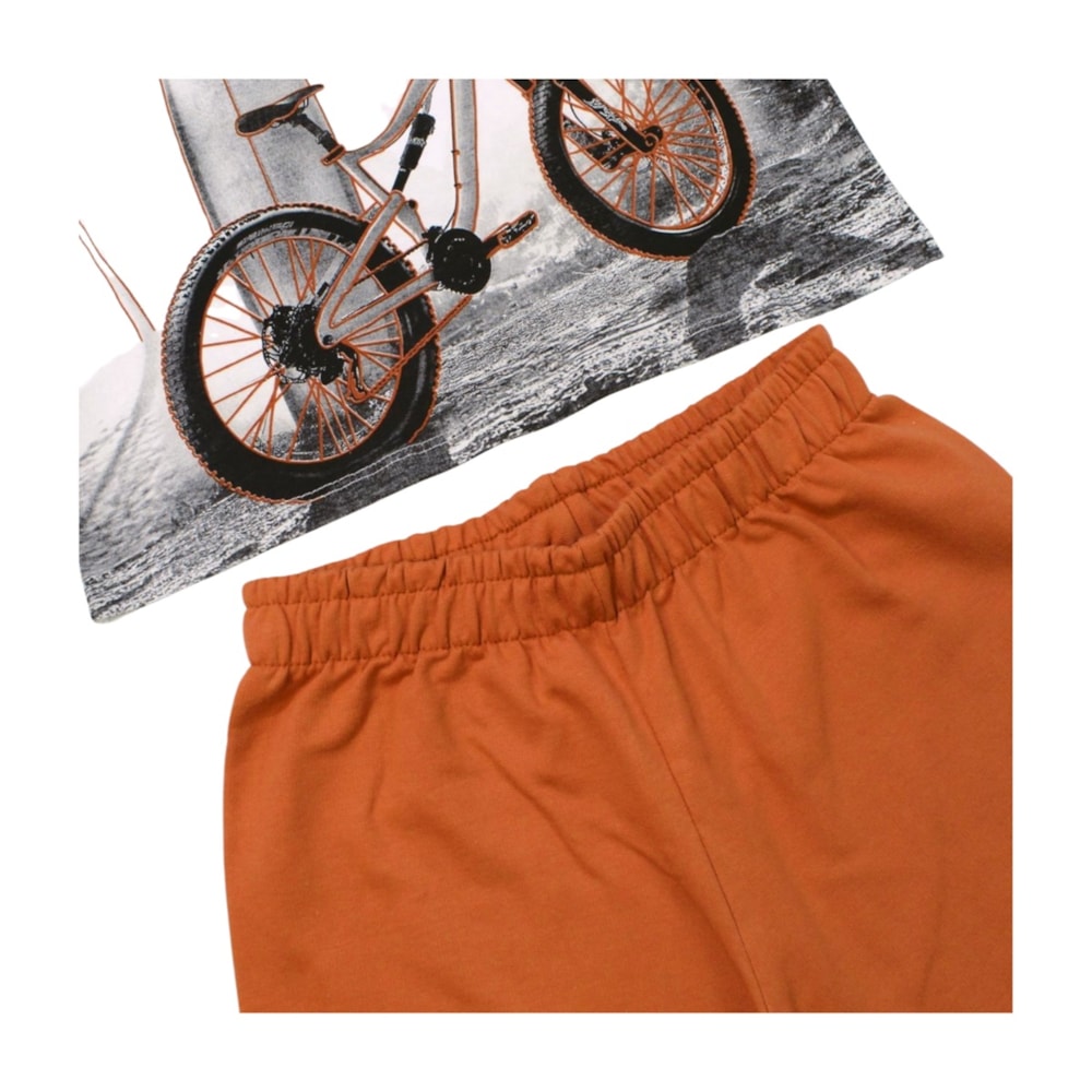 image_1e727a06-fdc2-4f0e-951c-a714f0d2d217