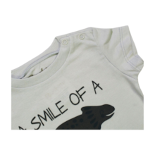 Conjunto Masculino Camiseta Estampa Dino e Bermuda Moletinho 00337 - Bambino e Bambina      