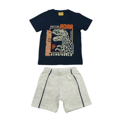 Conjunto Masculino Camiseta Estampa Dinossauro e Bermuda Moletinho 22235 - Rollu 