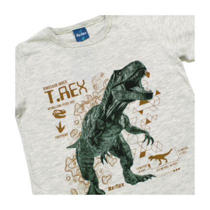 Conjunto Masculino Camiseta Estampa T- Rex e Bermuda Moletinho 47012 - Rei Rex 