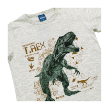 Conjunto Masculino Camiseta Estampa T- Rex e Bermuda Moletinho 47012 - Rei Rex 