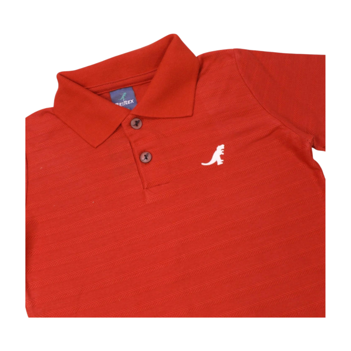 Conjunto Masculino Polo com Listras e Bermuda Moletinho 47064