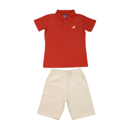 Conjunto Masculino Polo com Listras e Bermuda Moletinho 47064 - Rei Rex 