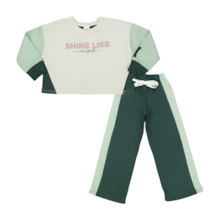 Conjunto Moletom Feminino Pantalona e Cropped Shine Like 251640 - Elia